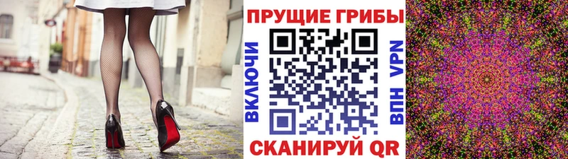 Галлюциногенные грибы ЛСД  Чегем 
